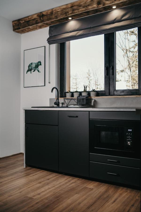 דירות זקופאנה Tatra Loft מראה חיצוני תמונה